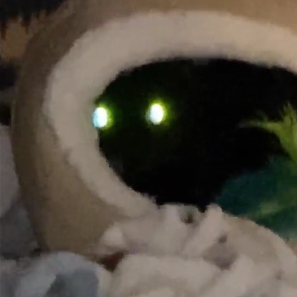 Meet your Posher, Caroline